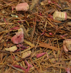 Lapacho & Rhubarb Tea